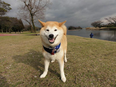 激変する？天気！