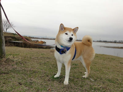 また？くもり！