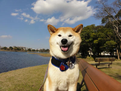 久し振りの青空！