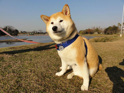 お嬢さん達を見ています！