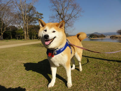暖かい日になりました！