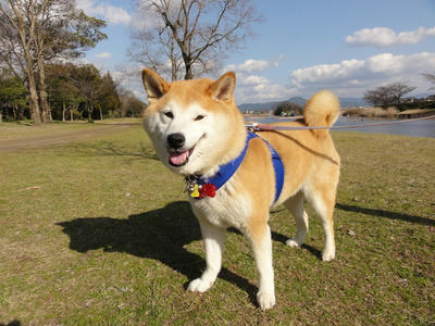 イイ天気！