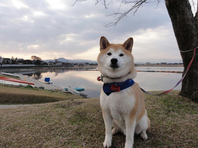 後から、イイお天気！