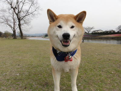 お見舞い申し上げます。