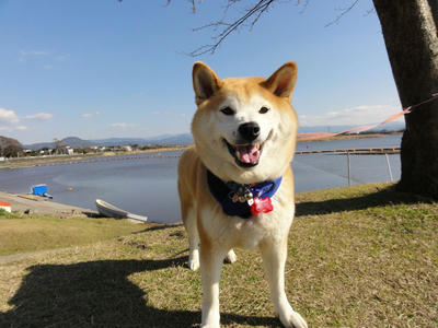 イイ天気！