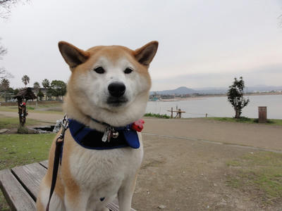 曇り！