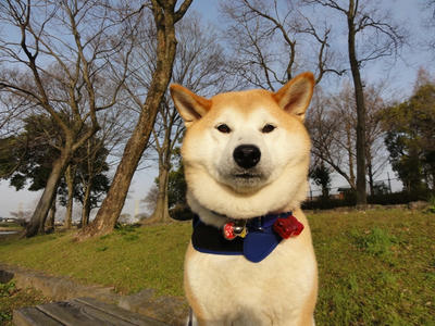 イイ天気！