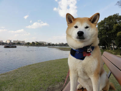 風流を見つけたり？