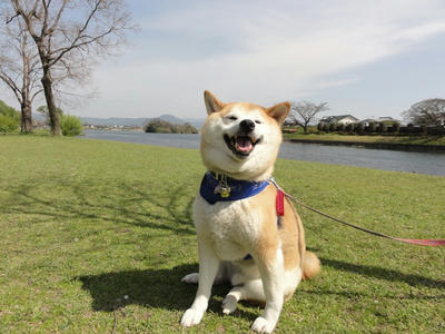 楽しい？嬉しい？