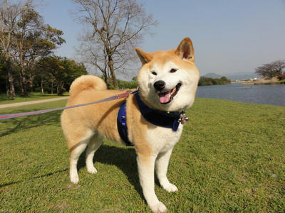 イイ天気！