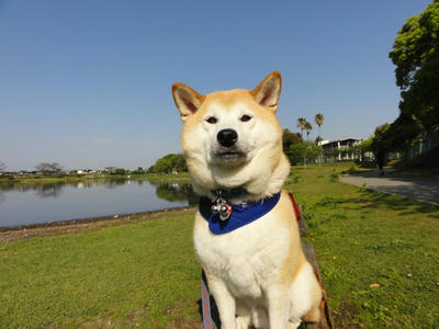 昨日の写真です。