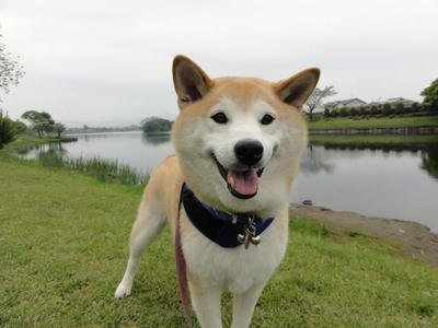 子供の日！