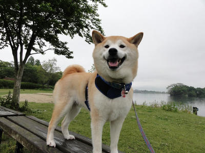 GW最終日！