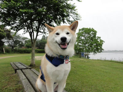 梅雨入り？