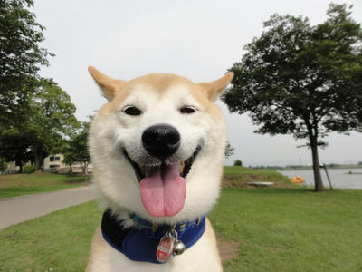 ドヤ顔？
