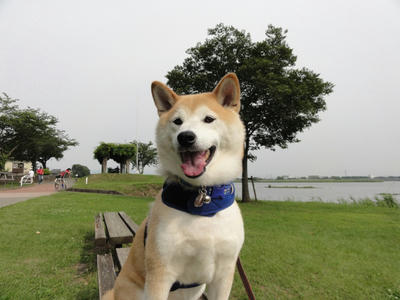 本日、梅雨入り！