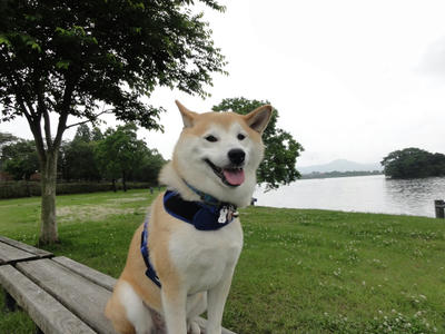 梅雨休み？