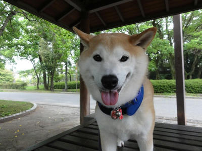 朝は小雨！
