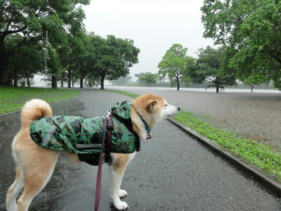 大雨洪水警報！