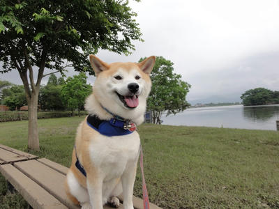 水が退きました！