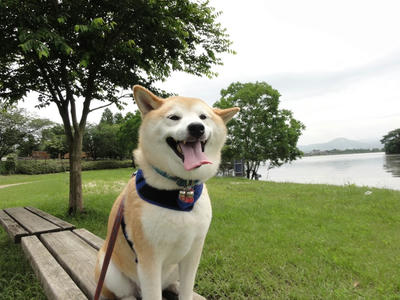 ３３℃！