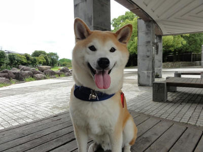 台風の影響？