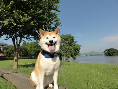 梅雨の晴れ間？