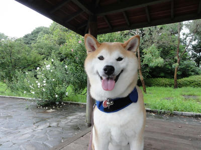 ラッキーでした！