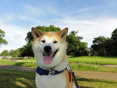 青空！