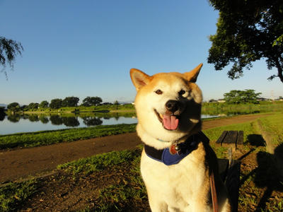 朝陽が眩しい！