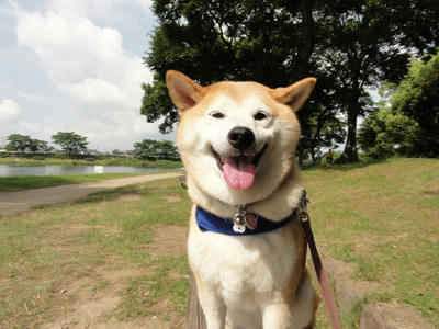 今日で7月も終わり！