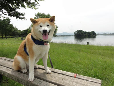 今日から８月です！