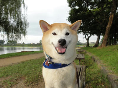 時には？まともなおかおです？
