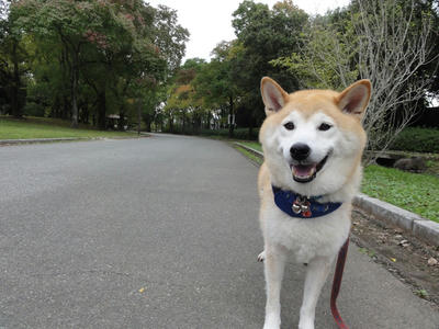 今日は一日中、曇天でした！