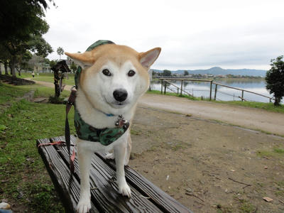 曇りのち雨！