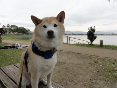一日中 kumori.