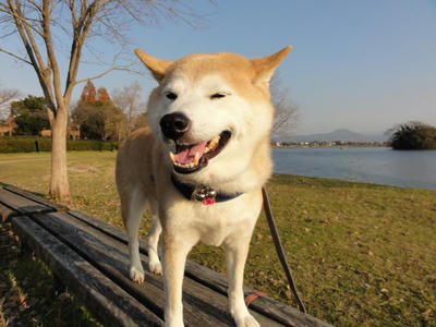 連日の好天気！