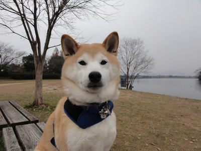 初日の出はお預けです。