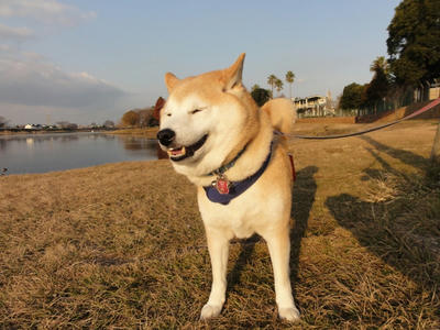 珍しく晴れ！