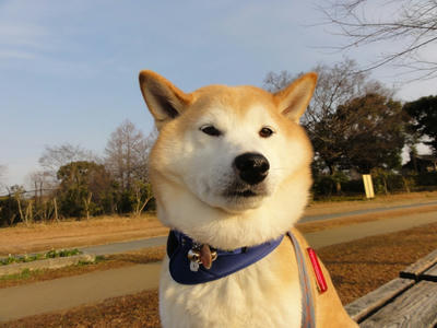 好天気です！