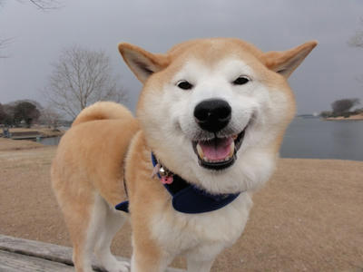 寒い一日でした。
