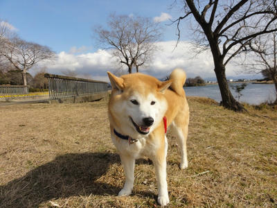 今年最高の寒波襲来！