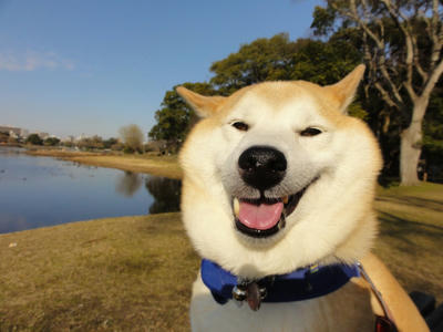 2日連続で晴天！