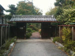 snapshot-1289135448.454141.jpg