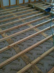 cameraroll-1301555315.625753.jpeg