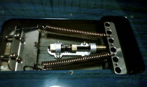 HI3C0075_512.jpg