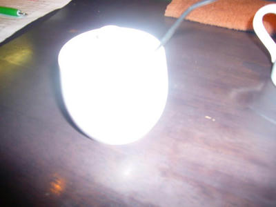 P1010285.JPG