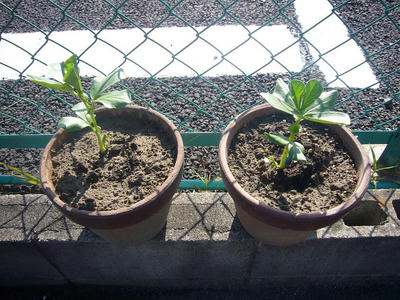 P1010266.JPG