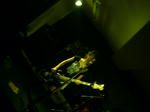 7584208a.jpg