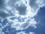 9217974f.jpg